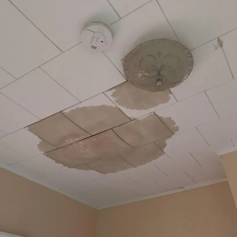 Ceiling Water Damage Repair in Milbank, SD