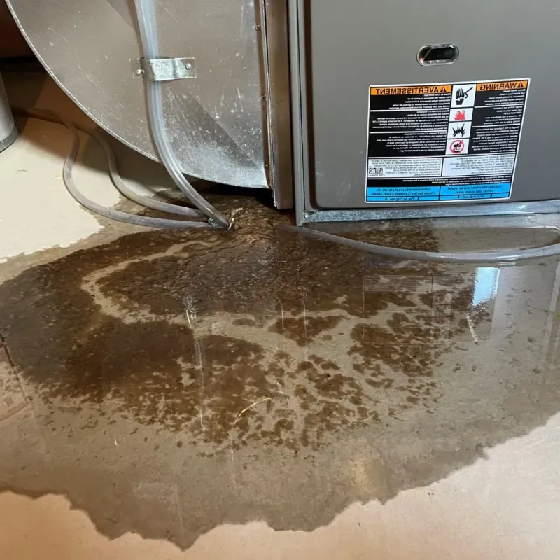 Pipe Burst and Leak Restoration in Milbank, SD