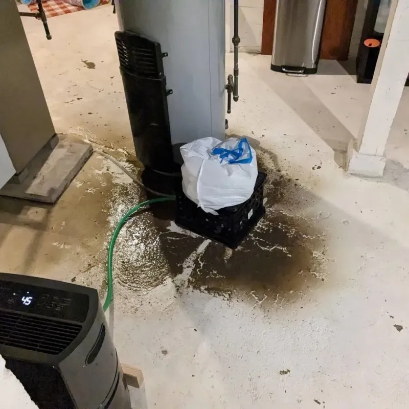 Sewage Backup Cleanup Service in Milbank, SD